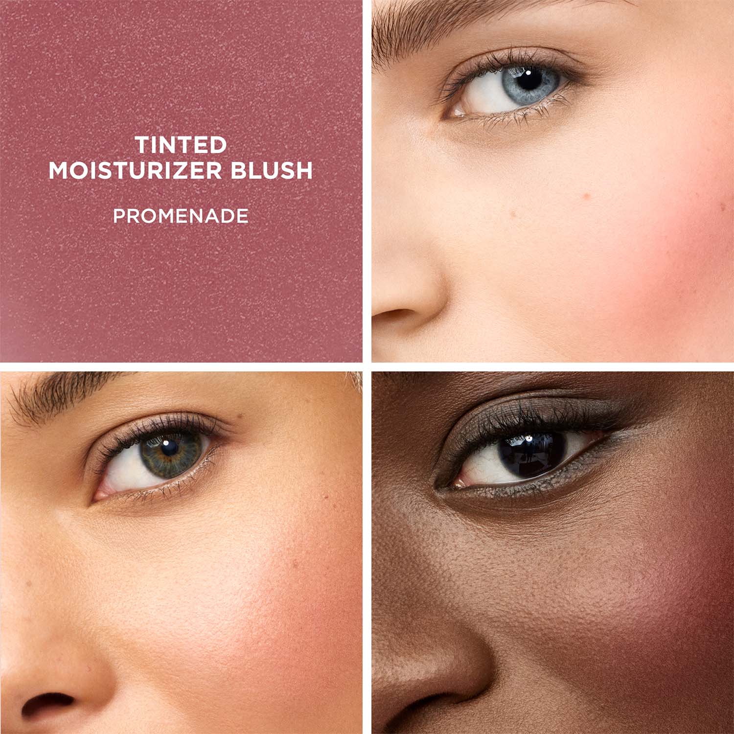 TINTED MOISTURIZER BLUSH (RUBOR EN CREMA)